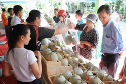Độc đáo "chợ phiên" mùa Tết tại TP Hồ Chí Minh